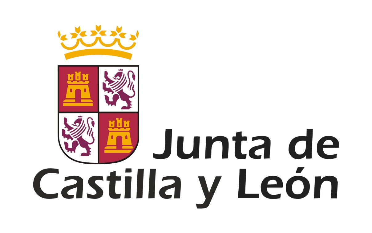 Realización de contrato público convocado por la Consejería de Cultura de la Junta de Castilla y León.